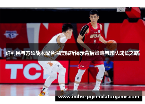 许利民与方硕战术配合深度解析揭示背后策略与球队成长之路