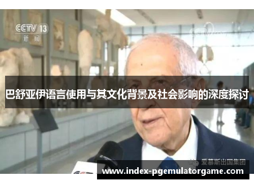 巴舒亚伊语言使用与其文化背景及社会影响的深度探讨